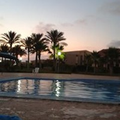 Hanan Makary