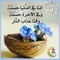 Ebtehal Abdelgawad