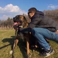 Enea Di Franco