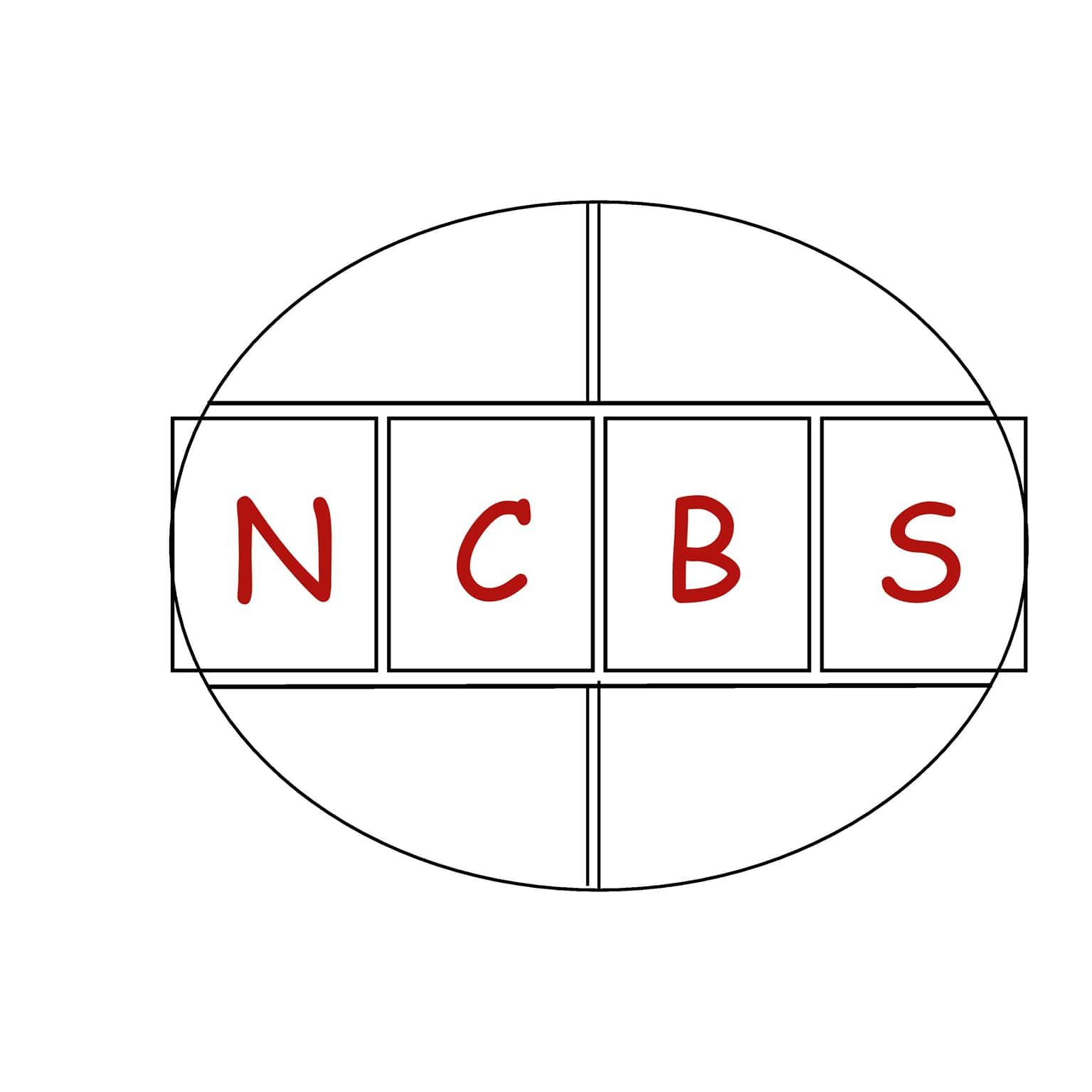 Native Comic Book Society
