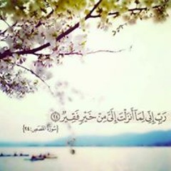Asmaa Elhousieny