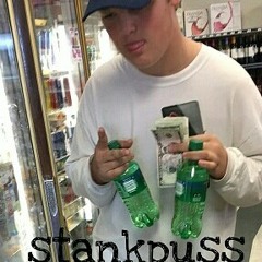 stankpuss