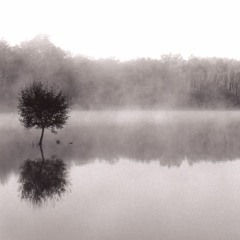 Allégories Acoustiques