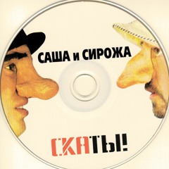 Саша и Сирожа