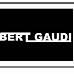Bert Gaudi