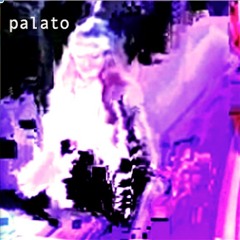 Palato