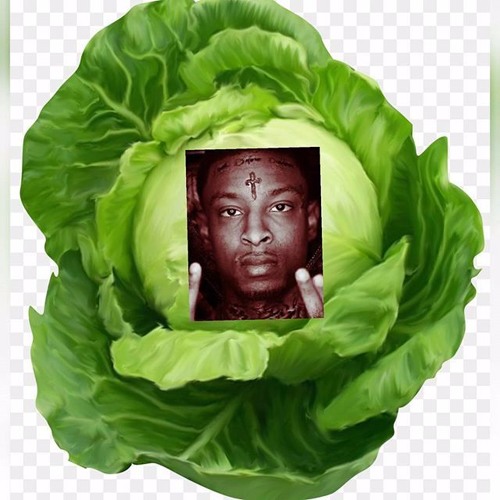 21 Cabbage’s avatar