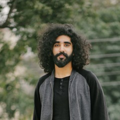 The dewarists