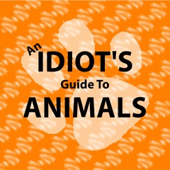 An Idiot's Guide To Animals