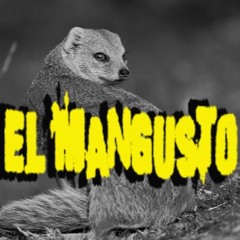 El Mangusto