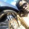 J..Sneezy