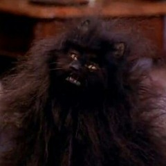 Илья Куликов