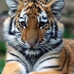 Jeann Aleixo Pereira