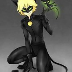 Cat Noir