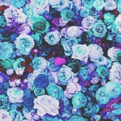 Joseline Pérez Ochoa