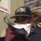 brandn