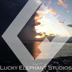 Lucky Elephant Studios - Sunshine Collective