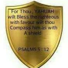 Shalom Yahsourall