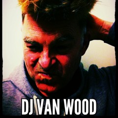 D.J. van Wood