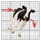 Ryu Tips Cows