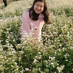 Linh Lê