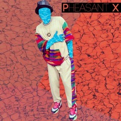 Pheasant X