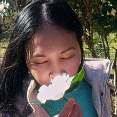 PearlHunterProductions