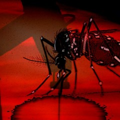 Capital Parasite - Hex Yea Manly