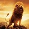 JUNGLEDON RECORDINGS