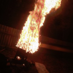 stray pussy and the gospels