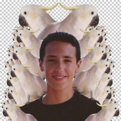 Son of Euler