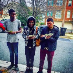 1233Swamp Nando