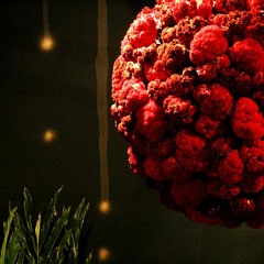 Bloody Broccoli