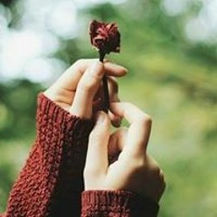 نداء القضاة