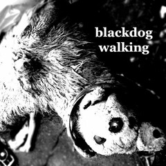 blackdog walking