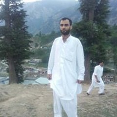 haroon bacha