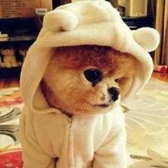 Khanh