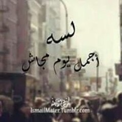 Ali Mohamed