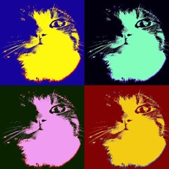 StachuluCat