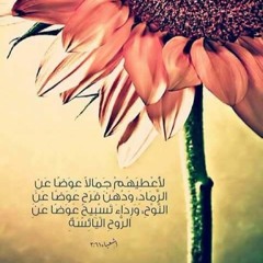 ツ Do²Do² ツ