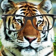 Wise Tiger