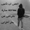 أبو راضي الفقى
