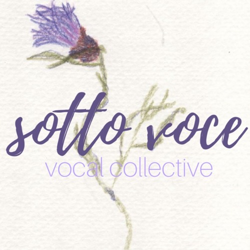 Sotto Voce Vocal Collective’s avatar