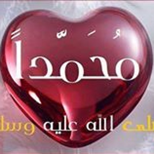 Aly Ahmed Kassem’s avatar