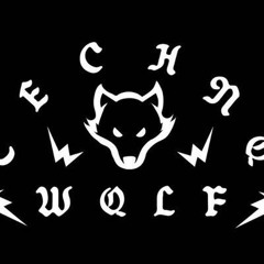 TECHNO WOLF / テクノウルフ