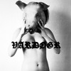 Vardøgr