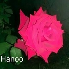 hana