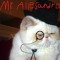 Mr Allesandro Rochi
