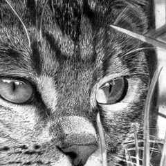 Почем квас?