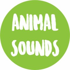 ANIMAL SOUNDS